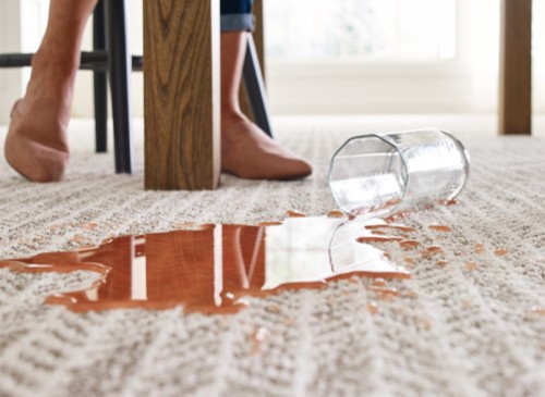 Liquid on Carpet | Carpets To Go